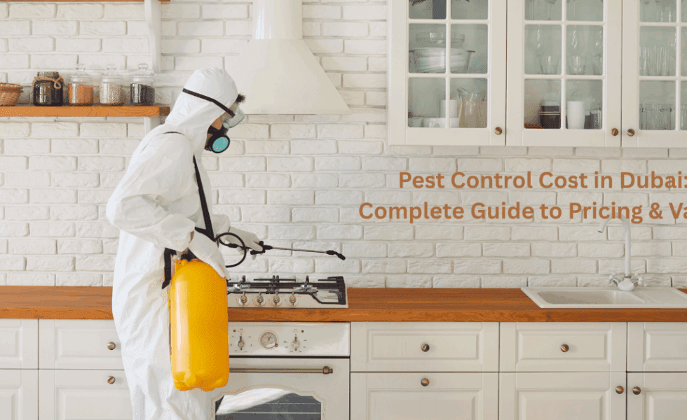Pest Control Cost in Dubai: Complete Guide to Pricing & Value