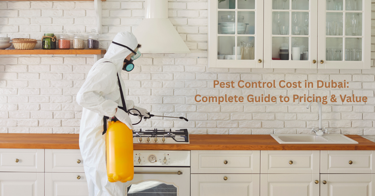 Pest Control Cost in Dubai: Complete Guide to Pricing & Value