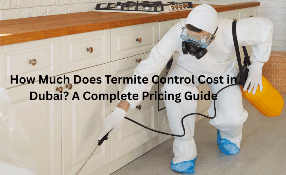 How Much Does Termite Control Cost in Dubai? A Complete Pricing Guide