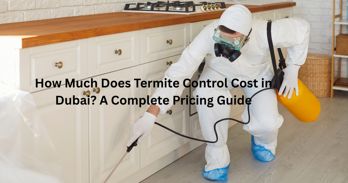 How Much Does Termite Control Cost in Dubai? A Complete Pricing Guide