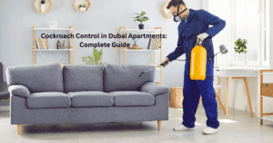 Cockroach Control in Dubai Apartments