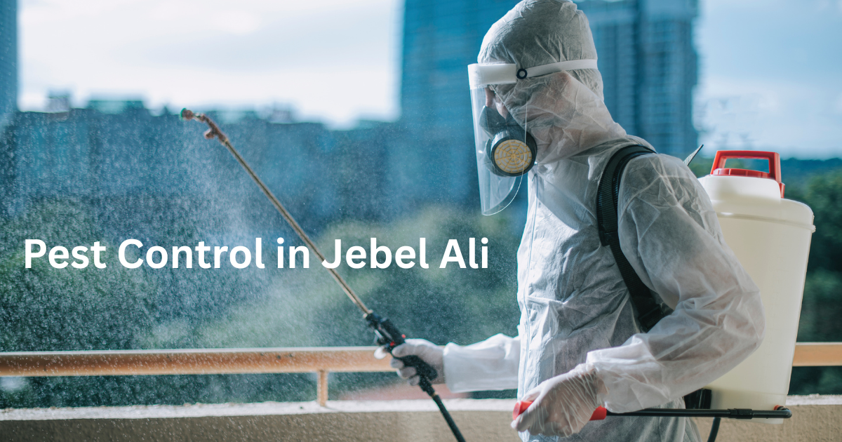 Pest Control in Jebel Ali
