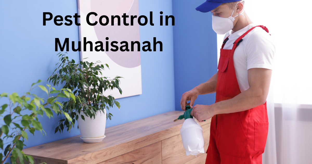 Pest Control in Muhaisanah