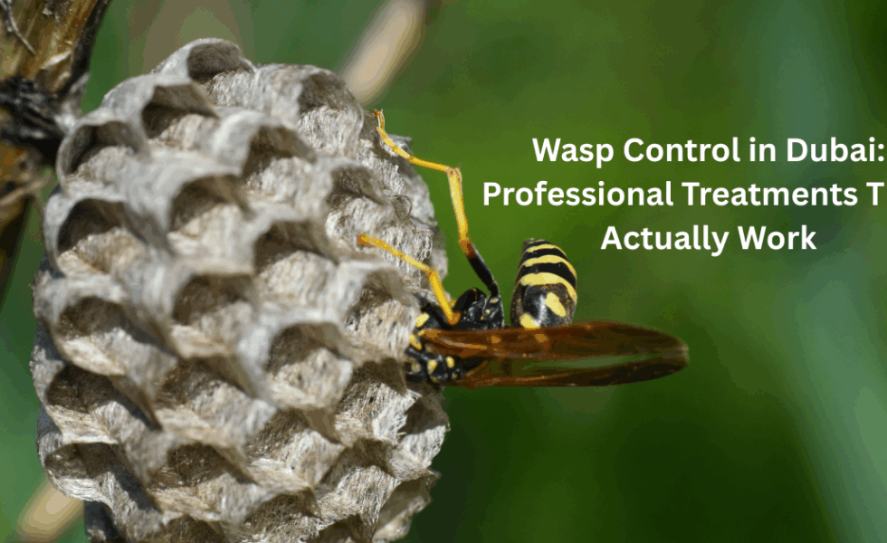 Wasp Control in Dubai: Professional Treatments That Actually Work