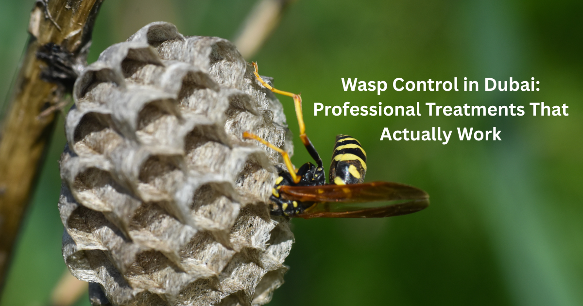 Wasp Control in Dubai: Professional Treatments That Actually Work