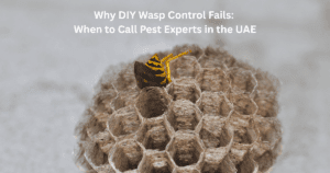 Why DIY Wasp Control Fails: When to Call Pest Experts in the UAE