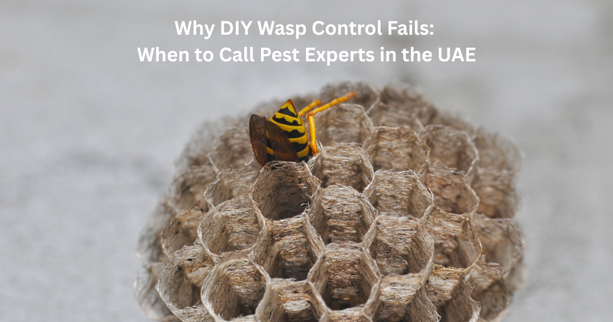 Why DIY Wasp Control Fails: When to Call Pest Experts in the UAE