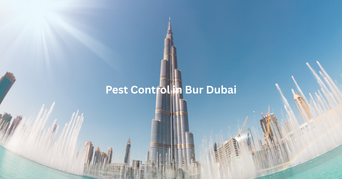 Pest Control in Bur Dubai
