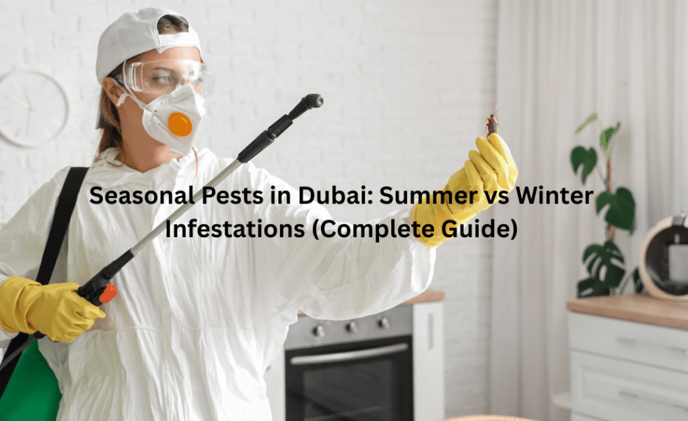 Seasonal Pests in Dubai: Summer vs Winter Infestations (Complete Guide)