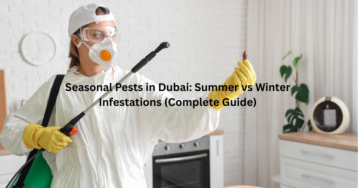 Seasonal Pests in Dubai: Summer vs Winter Infestations (Complete Guide)