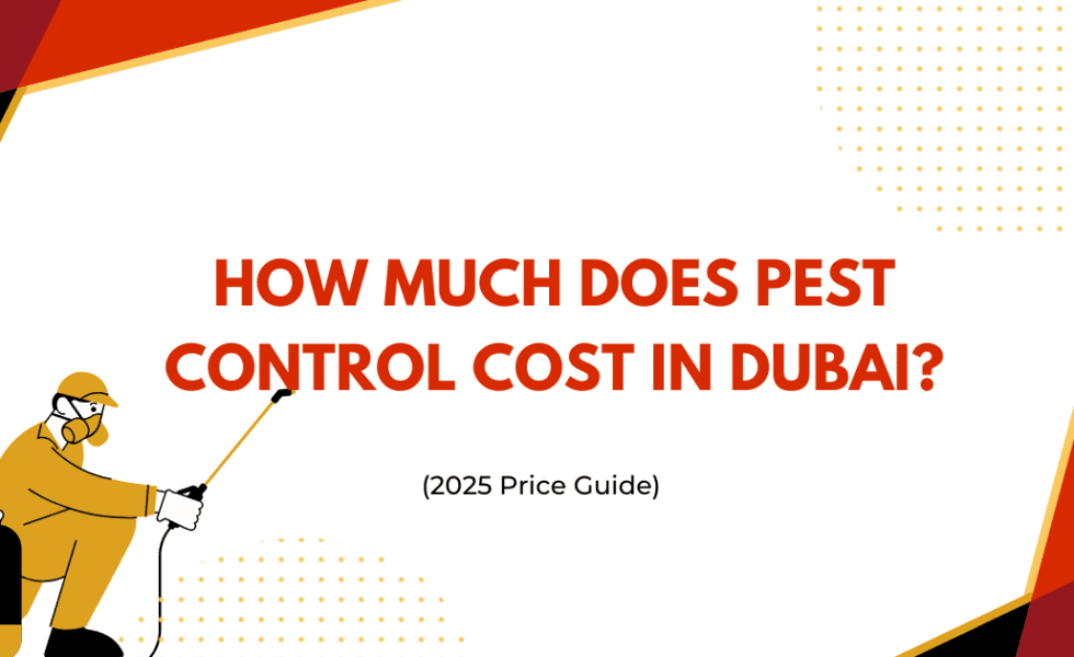 How Much Does Pest Control Cost in Dubai? (2025 Price Guide)