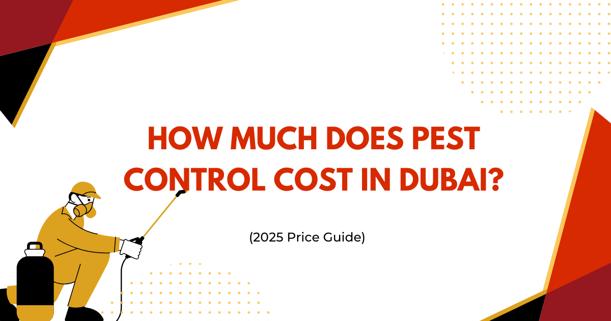 How Much Does Pest Control Cost in Dubai? (2025 Price Guide)