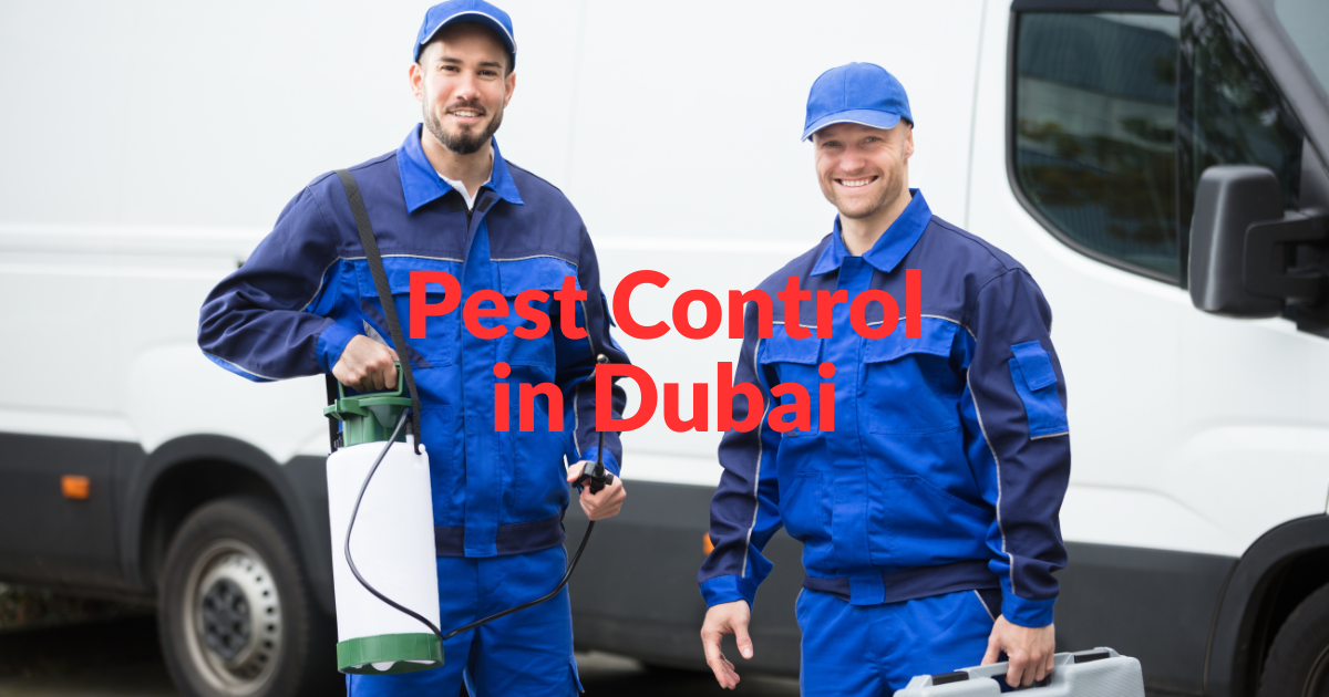 Pest Control in Dubai