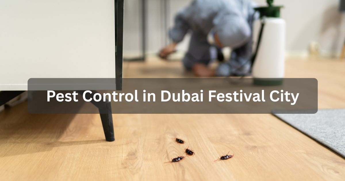 Pest Control in Dubai Festival City
