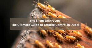The Silent Destroyer The Ultimate Guide to Termite Control in Dubai