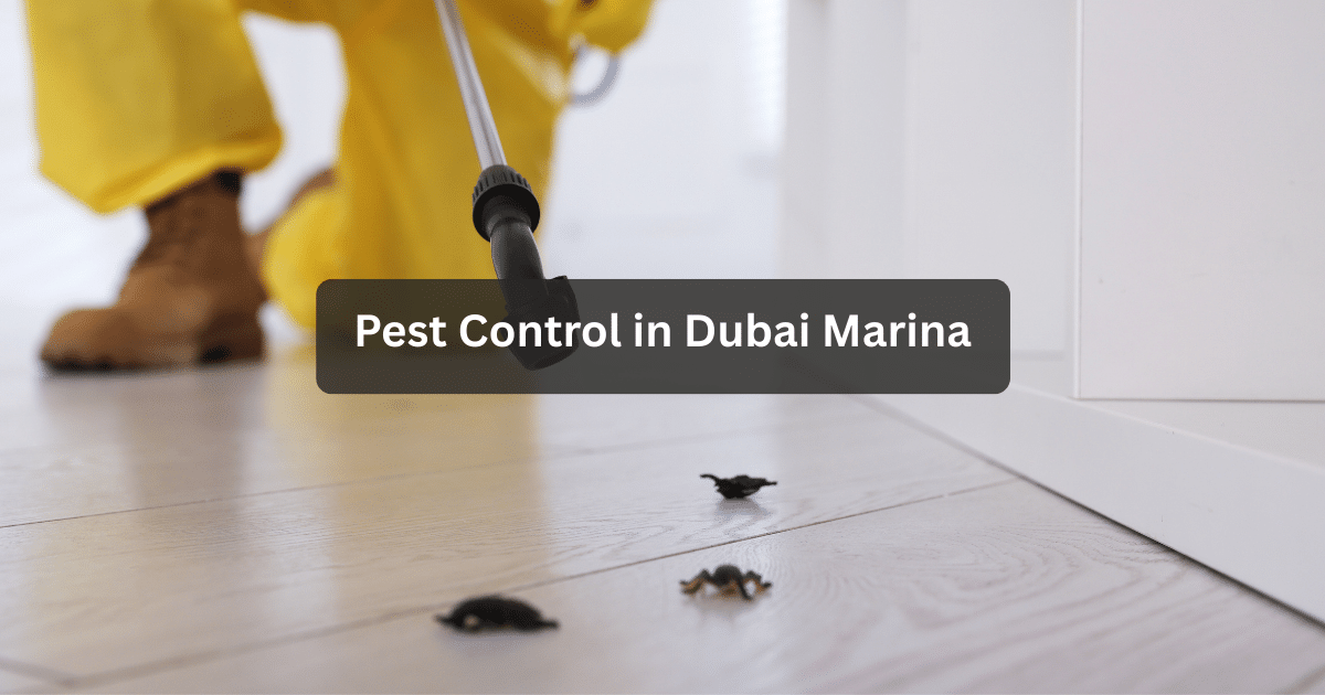 Pest Control in Dubai Marina