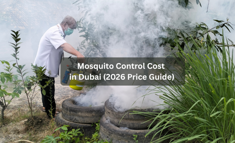 Mosquito Control Cost in Dubai (2026)