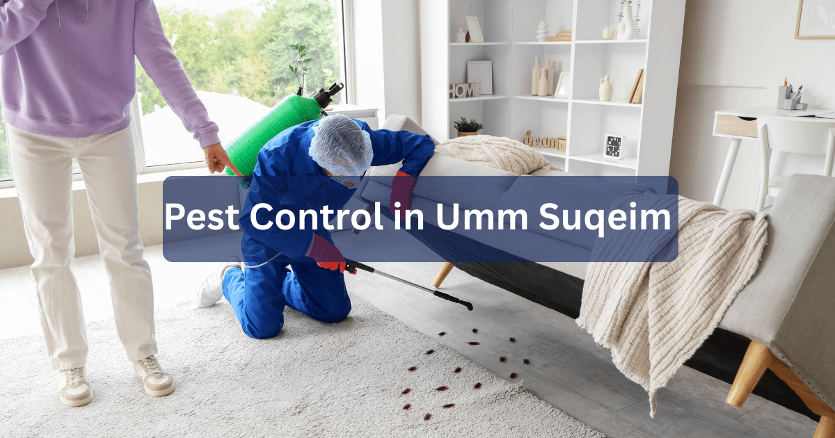 Pest Control in Umm Suqeim 