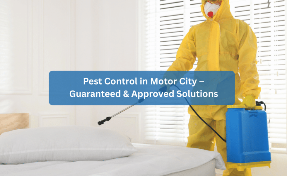 Pest Control in Motor City – Guaranteed & Approved Solutions