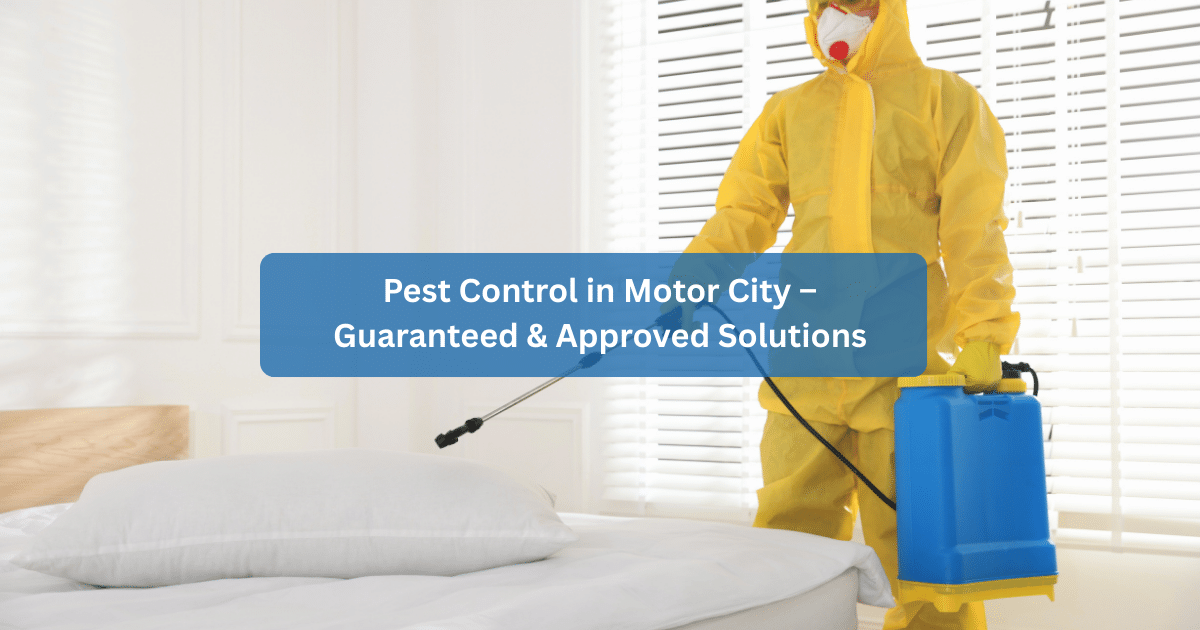 Pest Control in Motor City – Guaranteed & Approved Solutions
