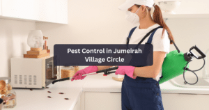 Pest Control in Jumeirah Village Circle