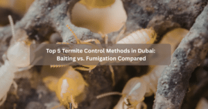 Top 5 Termite Control Methods in Dubai: Baiting vs. Fumigation Compared