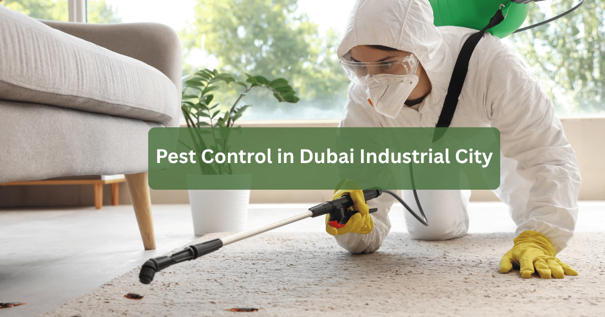 Pest Control in Dubai Industrial City
