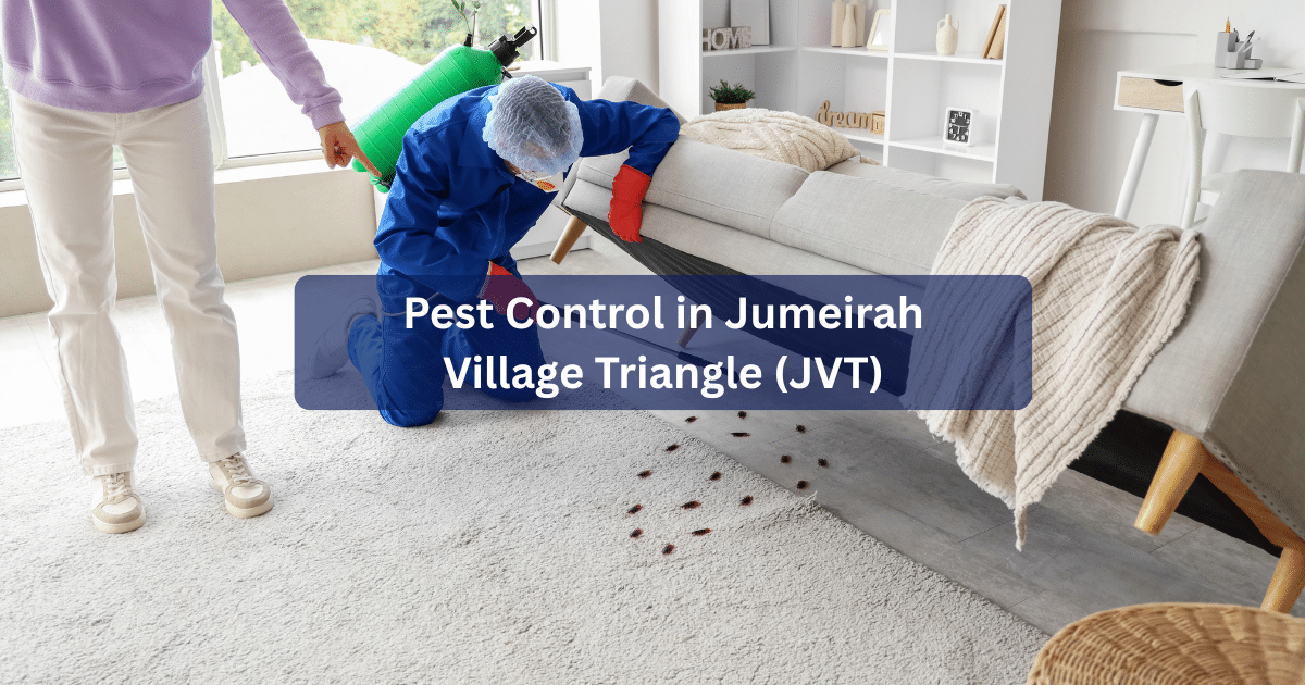 Pest Control in Jumeirah Village Triangle (JVT)