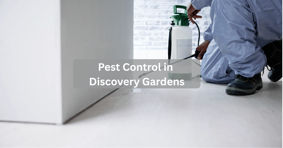 Pest Control in Discovery Gardens