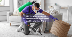 Why Cockroaches Are So Common in Dubai Apartments (And How to Stop Them)