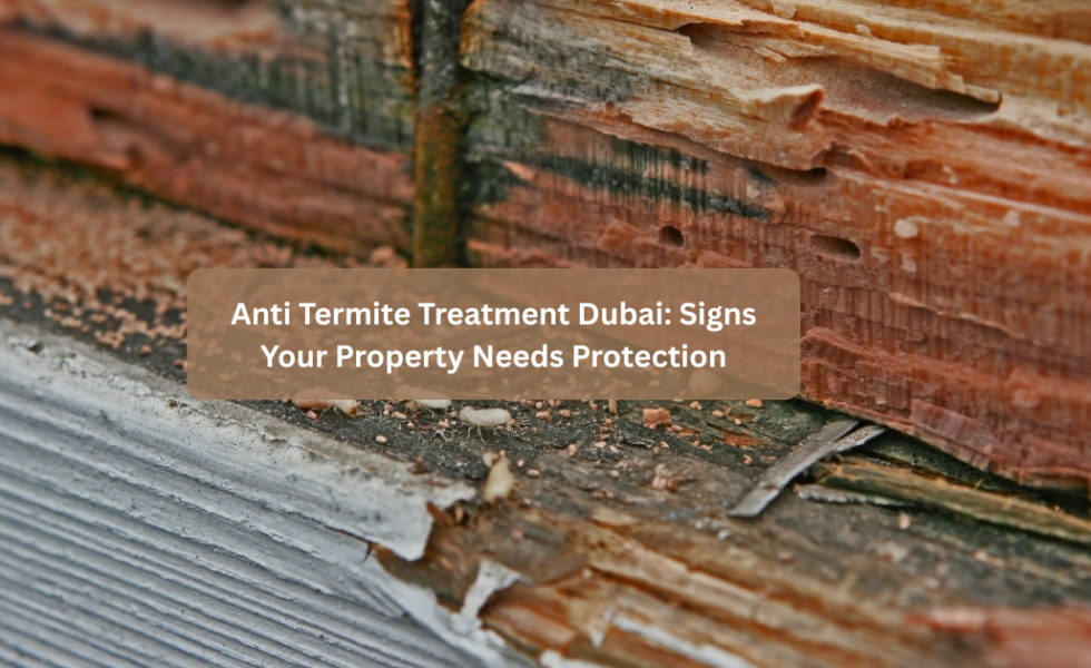 Anti Termite Treatment Dubai: Signs Your Property Needs Protection