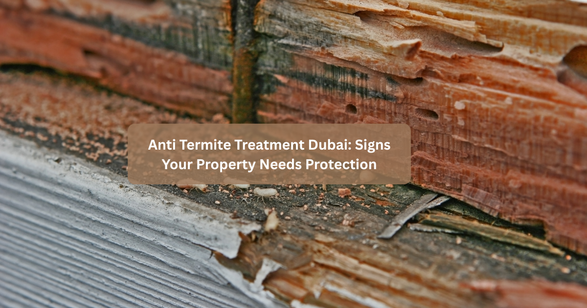 Anti Termite Treatment Dubai: Signs Your Property Needs Protection