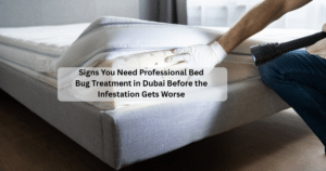 Signs You Need Professional Bed Bug Treatment in Dubai Before the Infestation Gets Worse
