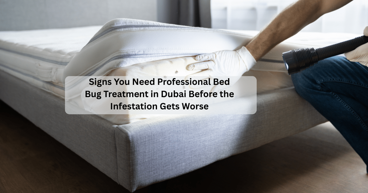 Signs You Need Professional Bed Bug Treatment in Dubai Before the Infestation Gets Worse