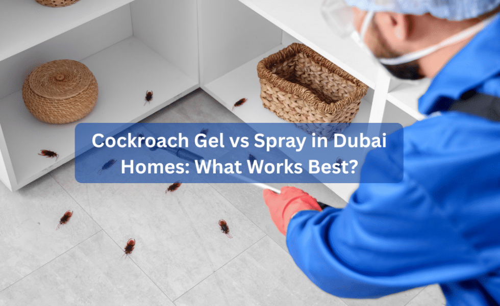 Cockroach Gel vs Spray in Dubai Homes: What Works Best?