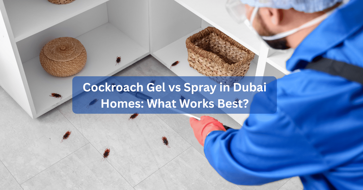 Cockroach Gel vs Spray in Dubai Homes: What Works Best?
