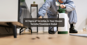 10 Signs of Termites in Your House: Termite Treatment Dubai