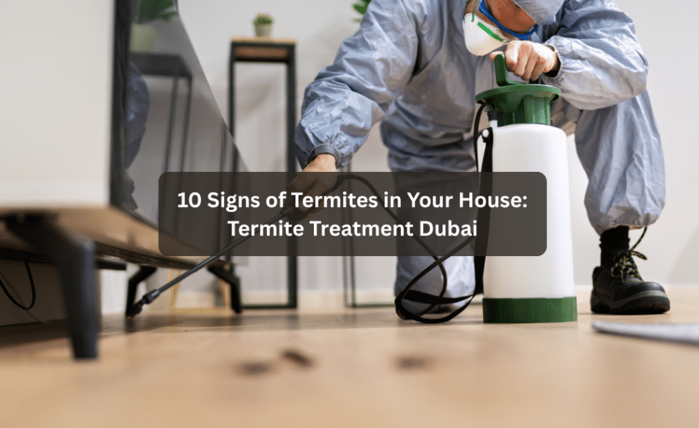10 Signs of Termites in Your House: Termite Treatment Dubai