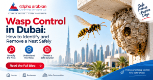 Wasp Control in Dubai: How to Identify and Remove a Nest Safely