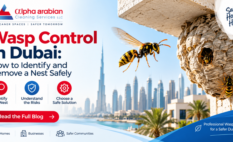 Wasp Control in Dubai: How to Identify and Remove a Nest Safely