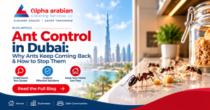 ants control in dubai