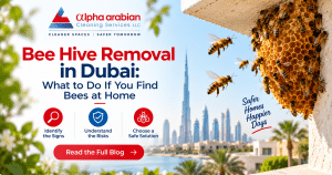 bee hive removal in dubai