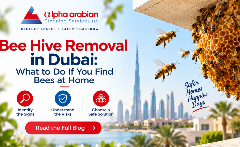 bee hive removal in dubai