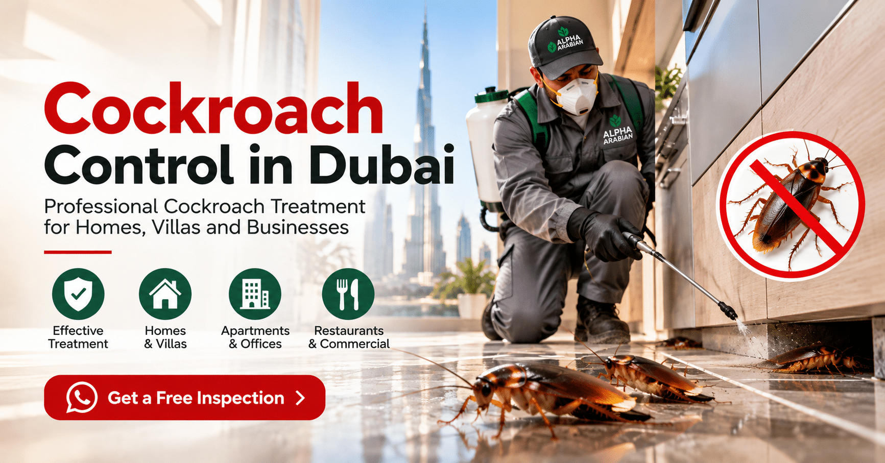 Cockroach Control in Dubai
